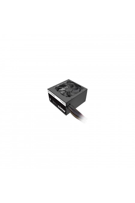 Блок питания Thermaltake ATX 650W TR2 S V2 80 PLUS WHITE (PS-TRS-0650NNCWEU-2) (черный) 