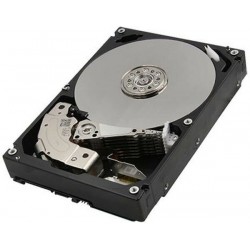Внутренний HDD Seagate Infortrend Enterprise 10 ТБ (HELT72S3T10-0030G)