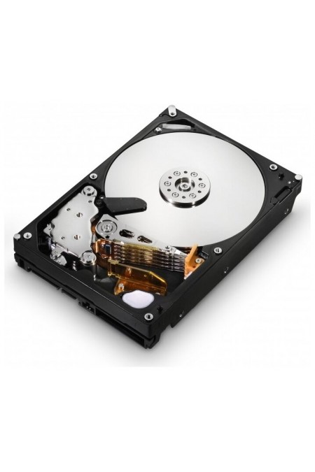 Внутренний HDD Western Digital WD Surveillance 5400 RPM 1 ТБ (WD10EURX) 5