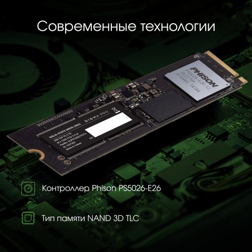 Внутренний SSD DIGMA Pro Top P6 2 ТБ M.2 (DGPST5002TP6T4) 8