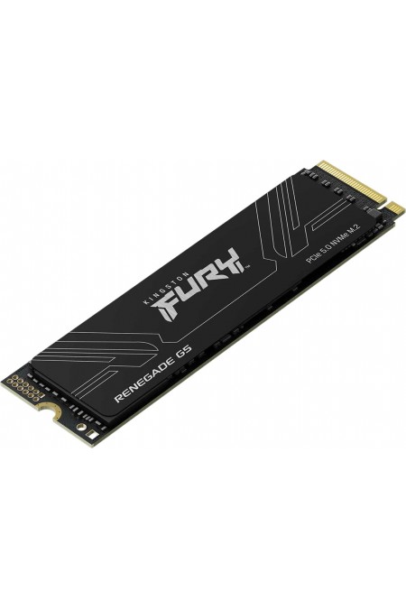 Внутренний SSD Kingston Fury Renegade G5 4 ТБ (SFYR2S/4T0) 