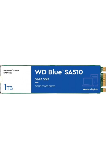 Внутренний SSD Western Digital 1 ТБ M.2 (WDS100T3B0B) 