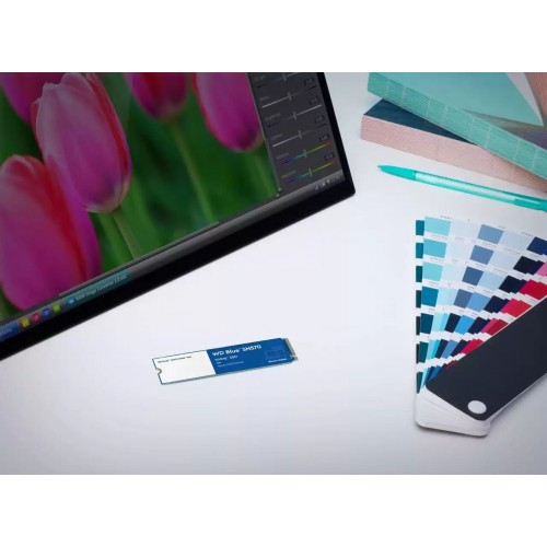 Внутренний SSD Western Digital Blue SN570 NVMe 250 ГБ M.2 (WDS250G3B0C) 5