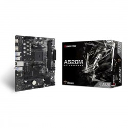 Материнская плата Biostar A520MT