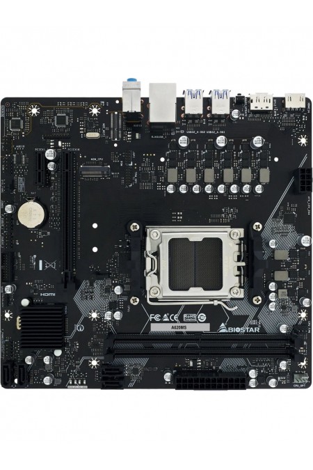 Материнская плата Biostar A620MS 