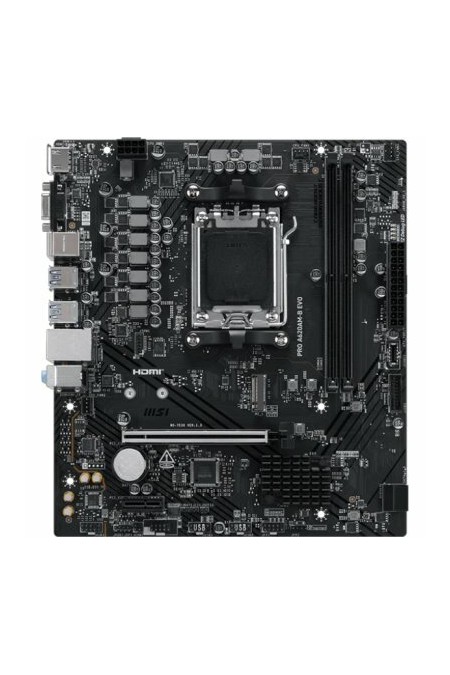 Материнская плата MSI PRO A620AM-B EVO 