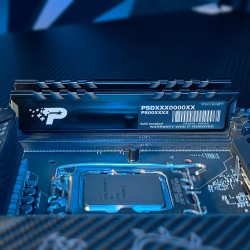 Оперативная память Patriot Memory Signature Premium 32 ГБ (16 ГБ x 2 шт.) DDR5 4800 МГц DIMM CL40 (PSP532G4800KH1)