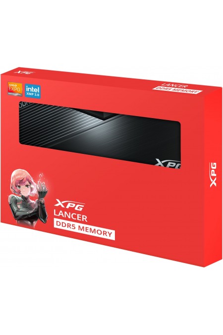 Оперативная память ADATA 32 ГБ DDR5 6000 МГц DIMM (AX5U6000C3032G-DCLABK) 