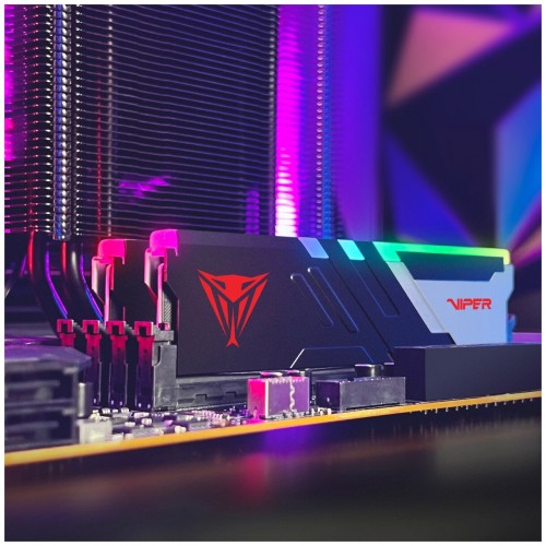 Оперативная память Patriot Memory VIPER Venom RGB 32 ГБ (16 ГБ x 2 шт.) DDR5 5600 МГц DIMM CL36 (PVVR532G560C36K) 5
