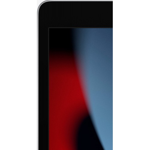 Планшет Apple iPad (2021) 256GB Wi-Fi + Cellular (серебристый) 3