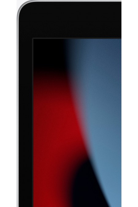 Планшет Apple iPad (2021) 64GB Wi-Fi (серебристый) 3