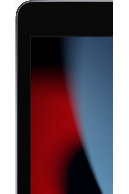 Планшет Apple iPad (2021) 64GB Wi-Fi (серый космос) 3