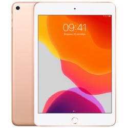 Планшет Apple iPad mini (2019) 64GB Wi-Fi + Cellular (розовое золото)
