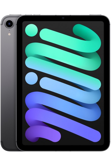 Планшет Apple iPad mini (2021) 256GB Wi-Fi + Cellular (серый космос) 