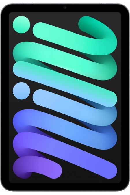 Планшет Apple iPad mini (2021) 256GB Wi-Fi (серый космос) 1