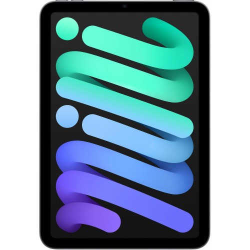 Планшет Apple iPad mini (2021) 256GB Wi-Fi (серый космос) 1