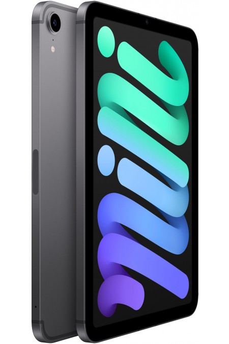 Планшет Apple iPad mini (2021) 64GB Wi-Fi + Cellular (серый космос) 2