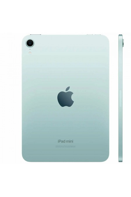 Планшет Apple iPad Mini (2024) 256GB Wi-Fi (голубой) 1