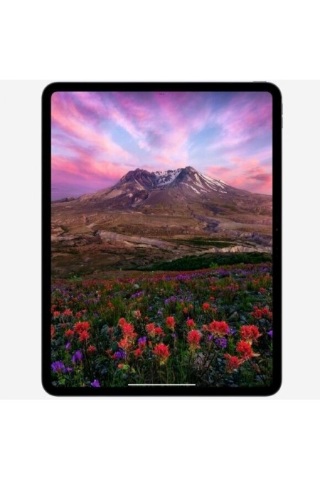 Планшет Apple iPad Pro 13 (2025) 2TB Wi-Fi (Standart) (серебристый) 9