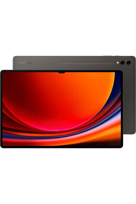 Планшет Samsung Galaxy Tab S9 Ultra 5G SM-X916 12/256GB Wi-Fi + Cellular (графит) 