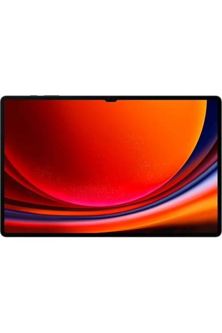 Планшет Samsung Galaxy Tab S9 Ultra 5G SM-X916 12/256GB Wi-Fi + Cellular (графит) 1