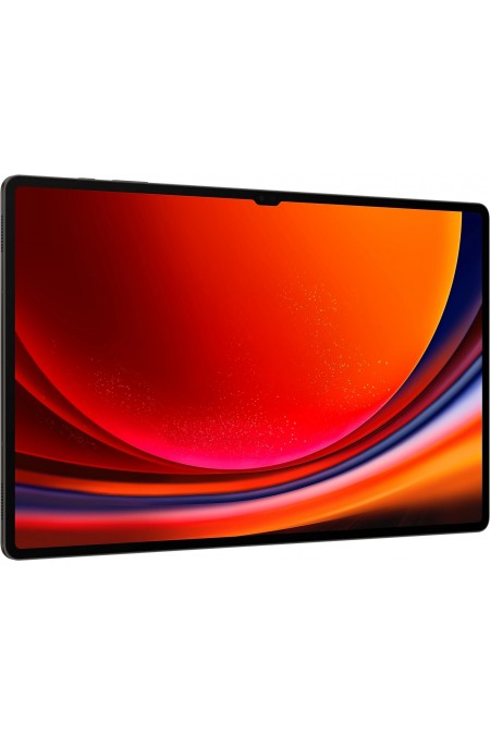 Планшет Samsung Galaxy Tab S9 Ultra 5G SM-X916 12/256GB Wi-Fi + Cellular (графит) 3
