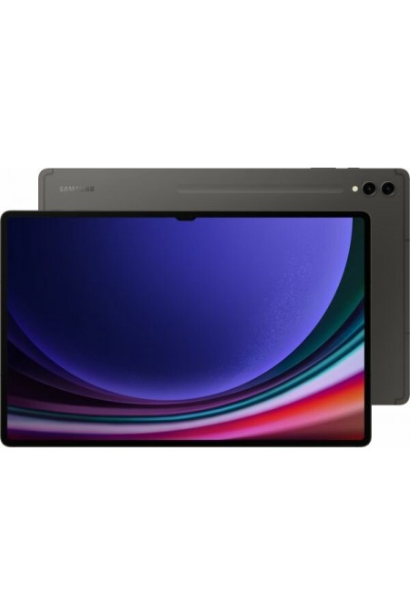 Планшет Samsung Galaxy Tab S9 Ultra SM-X910 12/256GB Wi-Fi (графит) 1