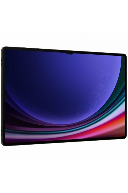 Планшет Samsung Galaxy Tab S9 Ultra SM-X910 12/256GB Wi-Fi (графит) 2