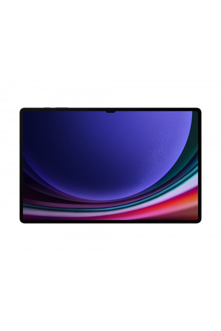 Планшет Samsung Galaxy Tab S9 Ultra SM-X910 12/512GB Wi-Fi (графит) 1
