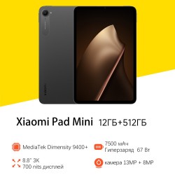 Планшет Xiaomi Pad Mini 12/512GB Wi-Fi (серый)