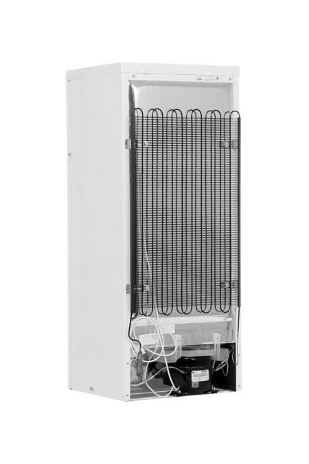 Холодильник DON R 216 B (белый) 1