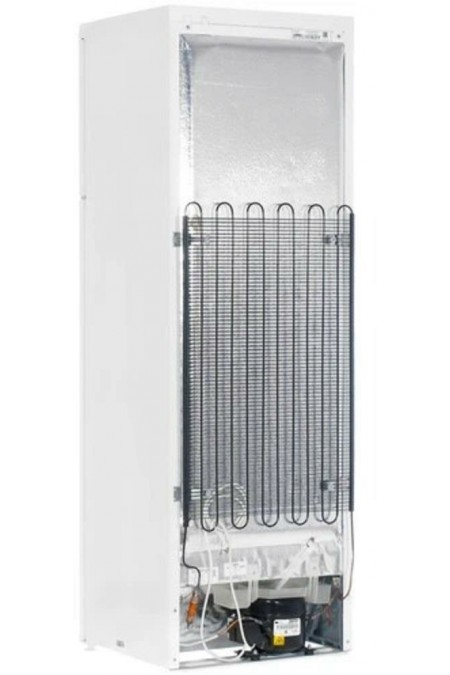 Холодильник DON R 236 B (белый) 1