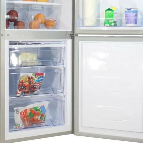 Холодильник DON R 290 MI (металлик искристый) 1