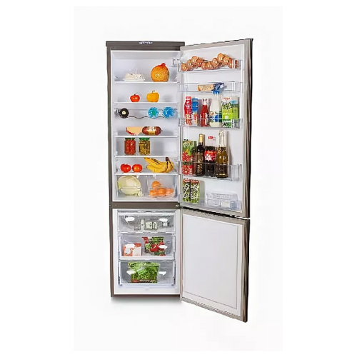 Холодильник DON R 291 G (графитовый зеркальный) 4