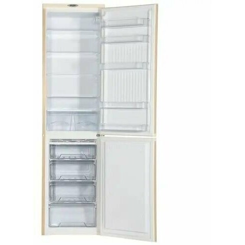 Холодильник DON R-299 ZF (золотой цветок) 1