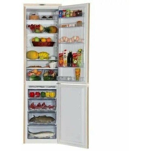 Холодильник DON R-299 ZF (золотой цветок) 2