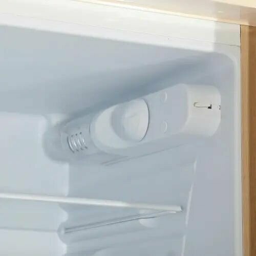 Холодильник DON R-299 ZF (золотой цветок) 3