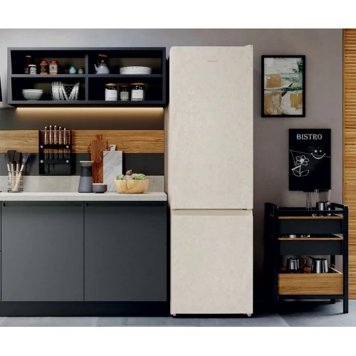 Холодильник Hotpoint-Ariston HT 4200 AB (мраморный) 7