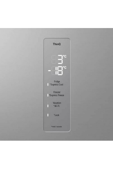 Холодильник LG GC-B509FNMW (серебристый) 5