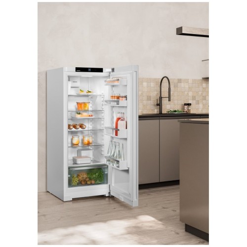 Холодильник Liebherr Rf 4600 Pure (белый) 5