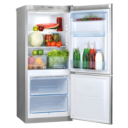 Холодильник POZIS RK-101 S+ (серебристый металлик) 1