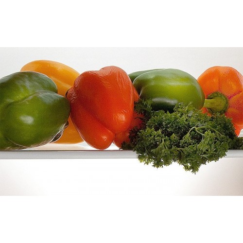 Холодильник POZIS RK-103 S (серебристый) 9