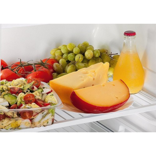 Холодильник POZIS СВИЯГА 404-1 S (серебристый) 2