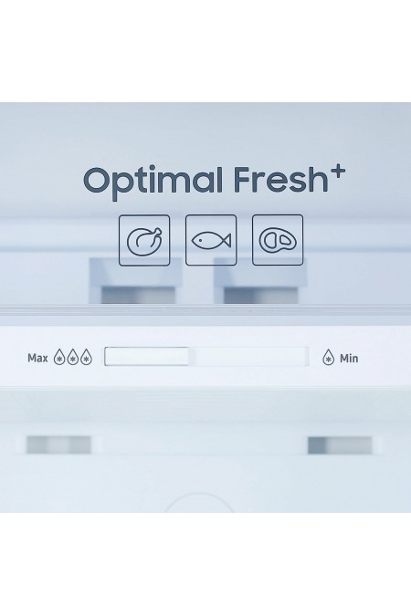 Холодильник Samsung RT42CG6420S9WT (серебристый) 6