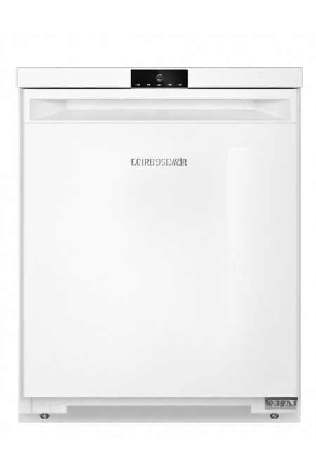 Морозильник Liebherr Fe 1003 (белый) 