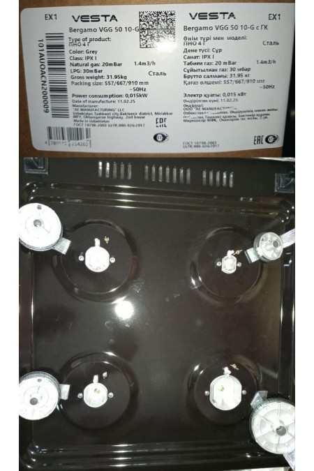 Комбинированная плита Vesta Valencia VGE 50 10-E (серый) 1