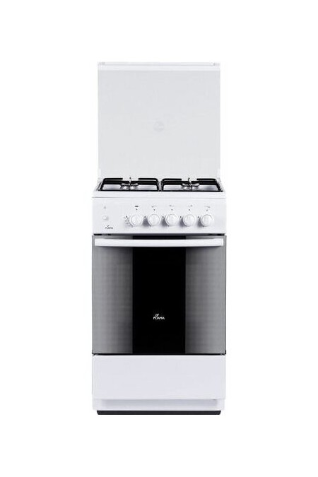 Газовая плита Flama FG2411W (белый) 1