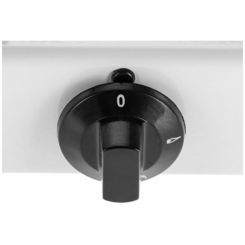 Газовая плита Мечта 100М (белый) 2