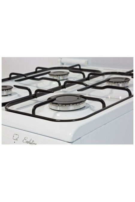 Комбинированная плита De Luxe 5040.21гэ (кр) (белый) 1