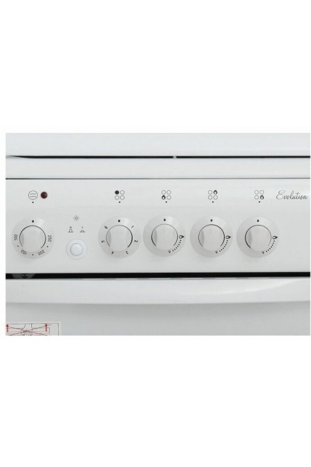 Комбинированная плита De Luxe 506031.01гэ (белый) 3